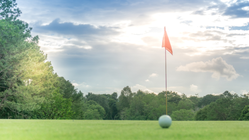 Discover with Milton Seigi Hayashi curiosities that shaped golf into one of the world’s most refined sports.